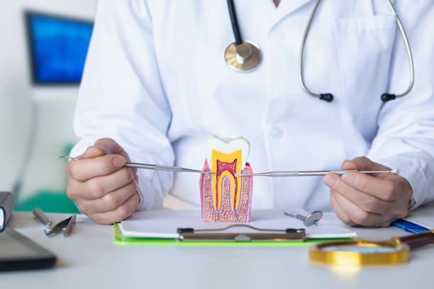 Best Emergency Treatment for Dental Infections or Abscesses in Plum Grove, TX